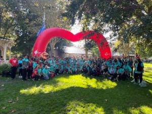 SSMC: Brain Brigade fundraising page