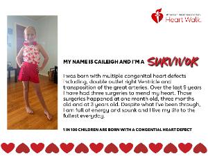 Survivor Sign Sponsors fundraising page