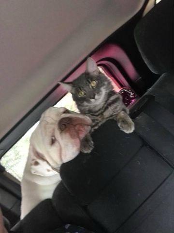 Brian's fundraising page