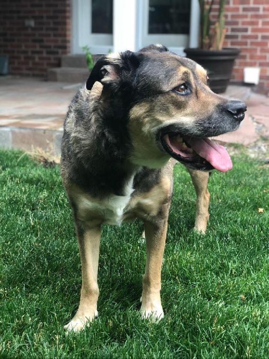 Kurt's fundraising page