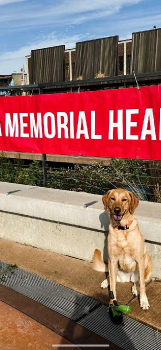 Laura's fundraising page