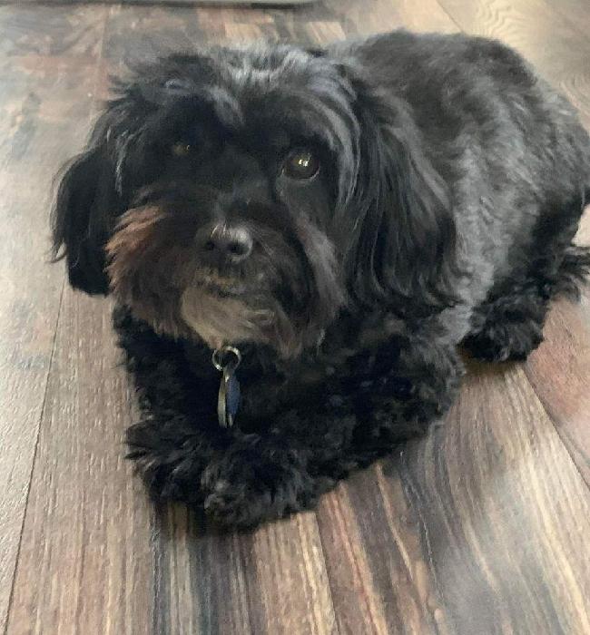 Tiffany's fundraising page