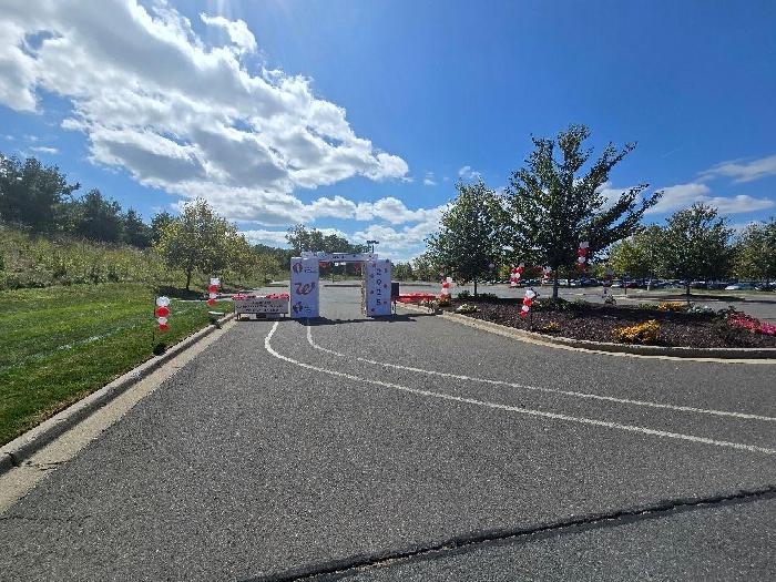 Amandine's fundraising page