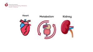 Julie's fundraising page