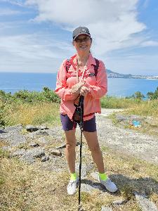 Denise's fundraising page