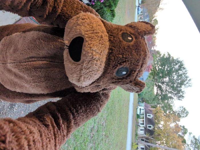 Sara's fundraising page