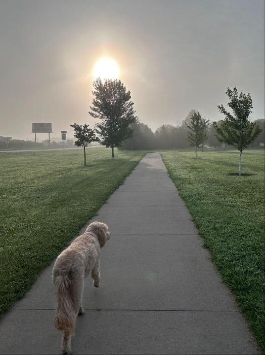 Bill's fundraising page