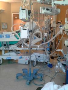 Carol's fundraising page