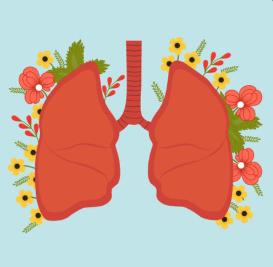 Kelsie's fundraising page