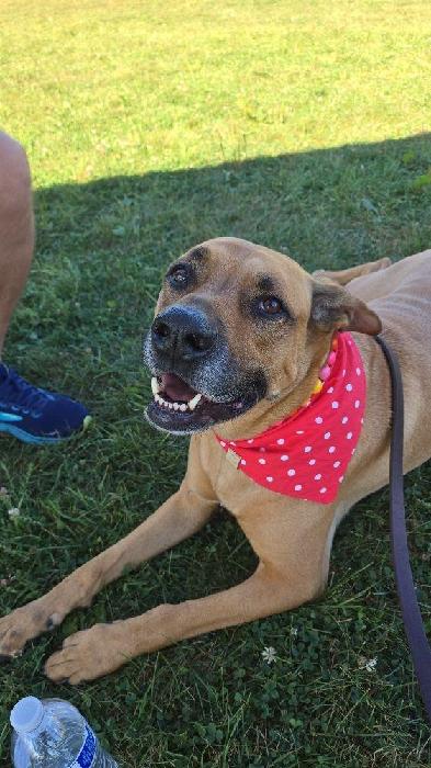 Jackie's fundraising page