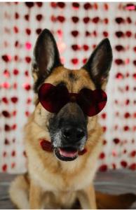 Michelle's fundraising page