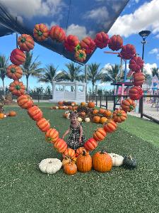 Yaneisy's fundraising page