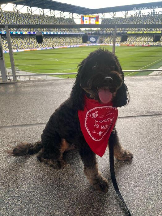 Lynn's fundraising page