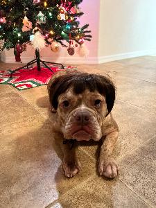 Jenna's fundraising page