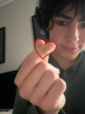 Teddy's fundraising page