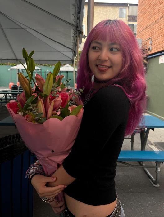 Lily's fundraising page