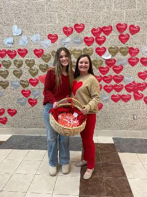 Amy's fundraising page