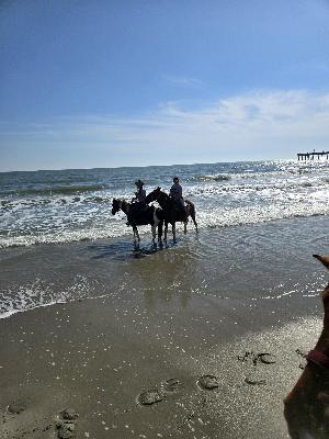 Join me in my efforts to support American Heart Association!