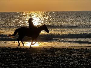 This is a picture from last year's (2025) beach ride!