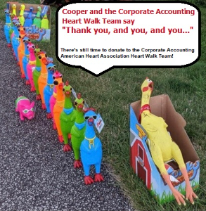Corp Accounting fundraising page