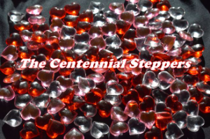 Centennial Steppers fundraising page