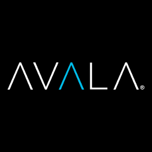 AVALA fundraising page